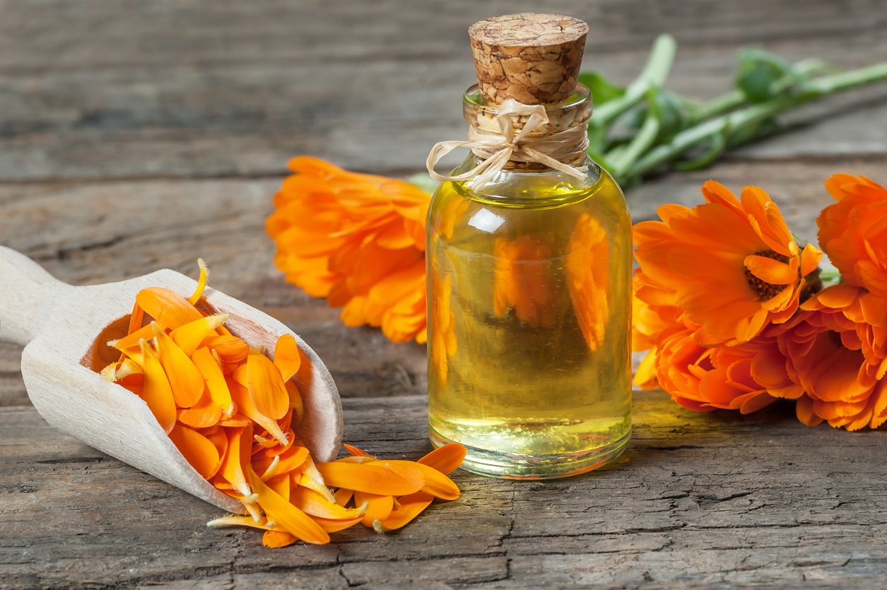 Glass bottle of Calendula oil extract with fresh flowers on a wooden table.