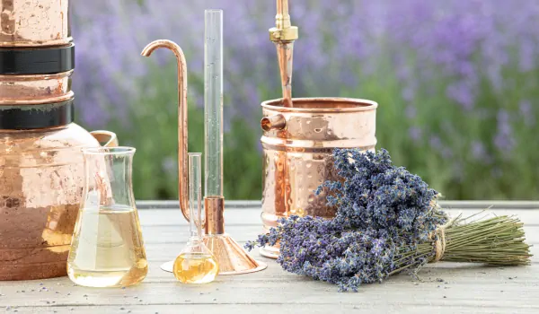 Violet Essential Oil Benefits: A Comprehensive Guide